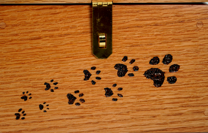 Paw Print Treasure Chest